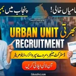 Urban Sector Planning and Management Services Unit Urban Unit Punjab Jobs 2026 June Official Career Advertisement Notice Banner Educativz