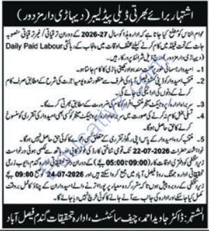 Agriculture Research Institute Faisalabad Jobs July 2026 | Management Jobs - Official Advertisement