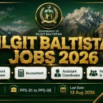 Gilgit Baltistan Project Director Jobs 2026 — Resident Engineer Accountant Assistant Coordinator Naib Qasid Road Construction PSDP