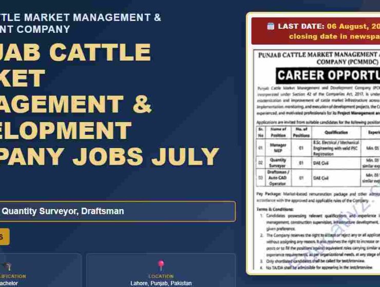 Punjab Cattle Market Management & Development Company jobs featured image July 2026