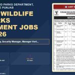 Punjab Wildlife & Parks Dept Senior Manager Job July 2026 - Government of the Punjab