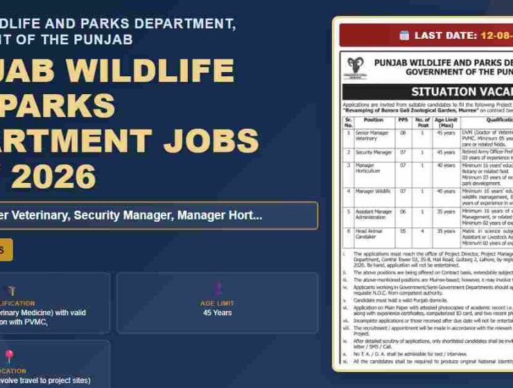Punjab Wildlife & Parks Dept Senior Manager Job July 2026 - Government of the Punjab