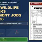 Punjab Wildlife and Parks Department Senior Jobs July 2026 - Government of the Punjab