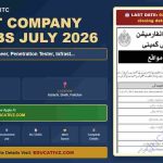 Sindh IT Company SITC Penetration Tester Job July 2026 - Sindh IT Company SITC Jobs featured image by Educativz