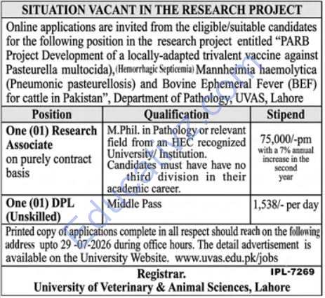 University of Veterinary & Animal Sciences Lahore Jobs | Research Associate, Dpl Unskilled - Official Advertisement