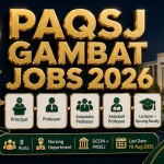 PAQSJ Gambat Jobs August 2026 — Peer Abdul Qadir Shah Jilani Institute Medical Sciences Nursing Faculty Principal Professor Lecturer Sindh