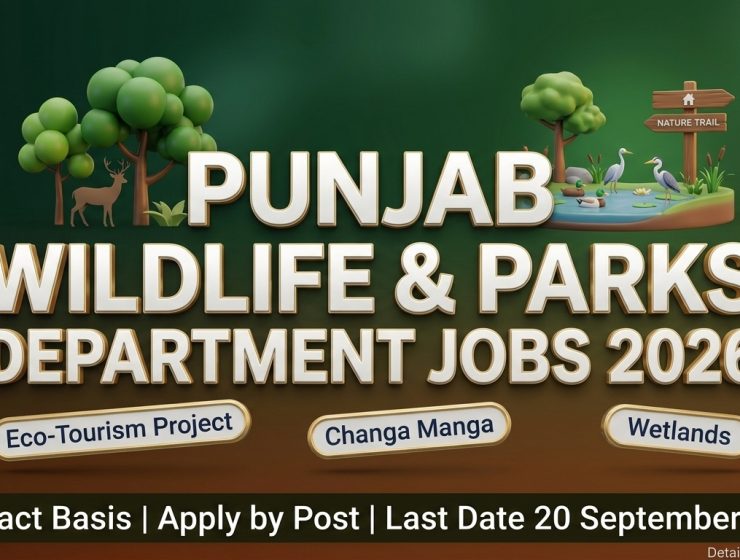 Punjab Wildlife and Parks Department Jobs 2026 — Eco-Tourism Project Vacancies