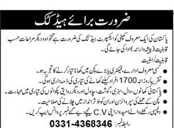 Head cook job