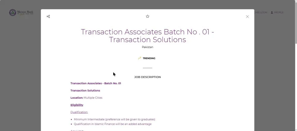 Meezan Bank Transaction Associates Batch 01 job description eligibility age limit