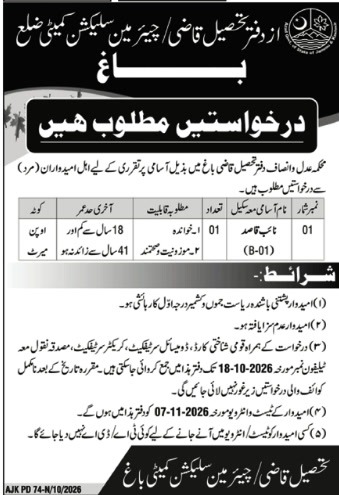 Tehsil Qazi Bagh AJK Naib Qasid job October 2026