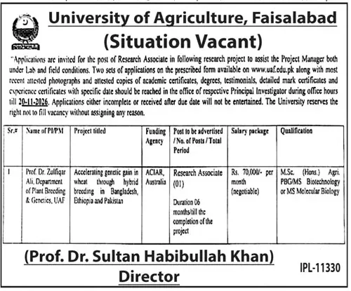 UAF Faisalabad Research Associate ACIAR wheat project job ad Jang Lahore 25 October 2026